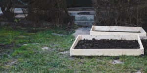 Beitragsbild des Blogbeitrags Wie man ein Gemüsebeet anlegt und Anfängerfehler im Garten vermeidet 