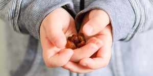 Beitragsbild des Blogbeitrags Wie du es schaffst, dass deine Kinder alles liebend gerne probieren {achtsam essen für Kinder}