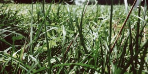 Beitragsbild des Blogbeitrags Spielplatz mit Baby