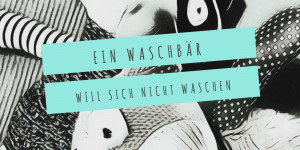 Beitragsbild des Blogbeitrags Kinderbuch – Ein Waschbär will sich nicht waschen 