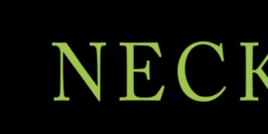 Beitragsbild des Blogbeitrags Stromspeicher – selbstgewonnene Energie optimal nutzen