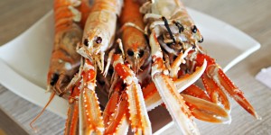 Beitragsbild des Blogbeitrags Let´s cook: Scampi mit Guacamole & Tomaten Salsa
