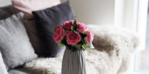 Beitragsbild des Blogbeitrags Let´s look back: February 2018 