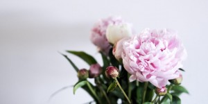 Beitragsbild des Blogbeitrags Let´s look back: May 2018 