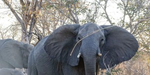 Beitragsbild des Blogbeitrags Roadtrip durch Namibia | Teil 2