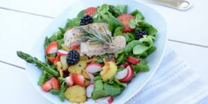 Beitragsbild des Blogbeitrags Frühlingssalat mit Wildlachs