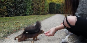Beitragsbild des Blogbeitrags 5 Tipps für einen perfekten Herbsttag in Schönbrunn
