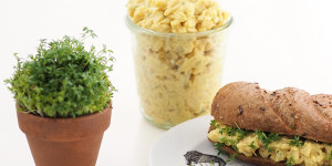 Beitragsbild des Blogbeitrags Der beste vegane Eiersalat der Welt – den musst du probieren