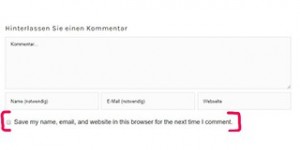 Beitragsbild des Blogbeitrags Übersetzen von “Save my name, email, and website in this browser for the next time I comment.”