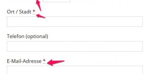 Beitragsbild des Blogbeitrags WooCommerce Checkout Felder Punkte unter dem Pflicht Sternchen * entfernen