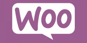 Beitragsbild des Blogbeitrags WooCommerce Teilen Button unter Kurzbeschreibung
