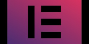 Beitragsbild des Blogbeitrags Elementor – Google Fonts lokal einbinden