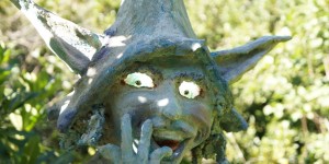 Beitragsbild des Blogbeitrags Im Feenreich zu Hogsback