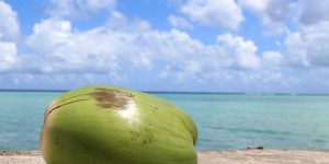 Beitragsbild des Blogbeitrags Ist Kokoswasser gesund? Das steckt in der exotischen Frucht 