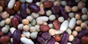 Beitragsbild des Blogbeitrags Pflanzliche Proteinquellen vegan zu mehr Eiweiß