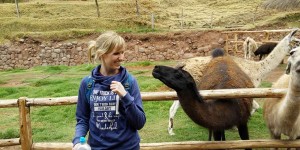 Beitragsbild des Blogbeitrags Warum sich eine Peru Reise lohnt & wie Meerschweinchen schmecken 