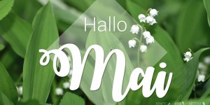Beitragsbild des Blogbeitrags Frühlingsgefühle im Mai: So wird der Wonnemonat noch besser