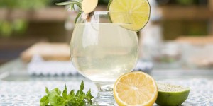 Beitragsbild des Blogbeitrags Limonade selber machen: 10 erfrischende Rezepte