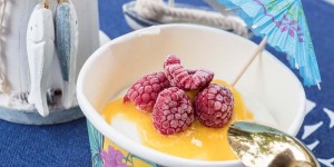 Beitragsbild des Blogbeitrags Einfaches Frozen Joghurt Rezept zum Nachmachen 