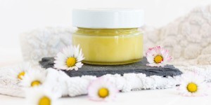 Beitragsbild des Blogbeitrags DIY Gänseblümchensalbe gegen blaue Flecken 