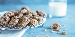 Beitragsbild des Blogbeitrags Vegane Haferkekse mit Schoko und Cranberry