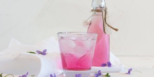 Beitragsbild des Blogbeitrags Veilchensirup Rezept für Naschkatzen