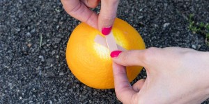 Beitragsbild des Blogbeitrags Schürfwunde richtig behandeln in 5 Schritten