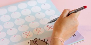 Beitragsbild des Blogbeitrags Alternativen zu Tampons, die du kennen solltest