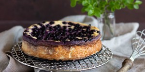 Beitragsbild des Blogbeitrags Heidelbeerkuchen mit Quark – Low Carb