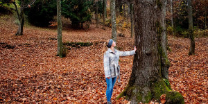 Beitragsbild des Blogbeitrags Waldbaden: Anleitung zum Abschalten in der Natur