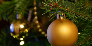 Beitragsbild des Blogbeitrags So verliert dein Weihnachtsbaum keine Nadeln! 