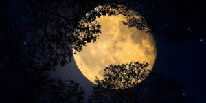 Beitragsbild des Blogbeitrags Wann ist 2021 Vollmond und wann Neumond?
