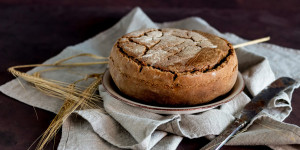 Beitragsbild des Blogbeitrags Hilfe, mein Brot schimmelt schnell