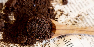 Beitragsbild des Blogbeitrags Wirf Kaffeesatz nicht weg: 8 ungewöhnliche Möglichkeiten ihn zu verwenden
