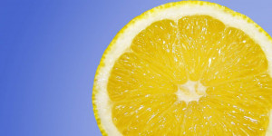 Beitragsbild des Blogbeitrags Zitronenschalen essen macht glücklich – laut TikTok