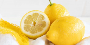 Beitragsbild des Blogbeitrags Nur so lagerst du Zitronen richtig! 