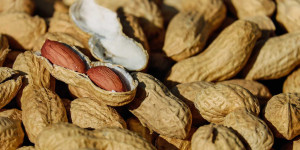 Beitragsbild des Blogbeitrags 6 erstaunliche Gründe, warum Erdnüsse so gesund sind