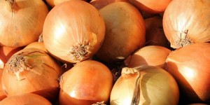 Beitragsbild des Blogbeitrags Geheimnis gelüftet: Deshalb sind Zwiebeln so gesund