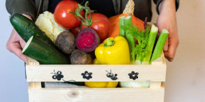 Beitragsbild des Blogbeitrags Seborrhoisches Ekzem: So hilft gesunde Ernährung!