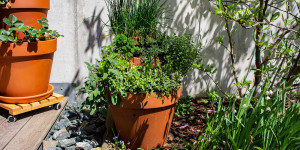 Beitragsbild des Blogbeitrags Kräuterturm selber bauen: Mit dieser einfachen Anleitung klappts! 