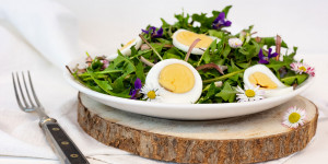 Beitragsbild des Blogbeitrags 4 schnelle & leckere Rezepte für Löwenzahn-Salat