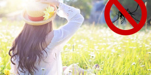 Beitragsbild des Blogbeitrags 14 Hausmittel gegen Mücken: So kannst du Mückenstichen vorbeugen 