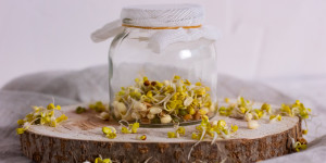 Beitragsbild des Blogbeitrags Mach ein Sprossenglas ganz einfach selbst!