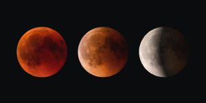 Beitragsbild des Blogbeitrags Achtung Halbschatten Mondfinsternis: Das passiert deinem Sternzeichen!