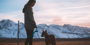 Beitragsbild des Blogbeitrags Welcher Hund passt zu meinem Sternzeichen?