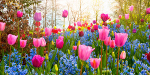 Beitragsbild des Blogbeitrags Was kann man im Frühling machen? Ich habe 21 tolle Ideen für dich! 