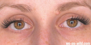 Beitragsbild des Blogbeitrags Wimpernverlängerung: Diese Looks passen zu deiner Augenform!