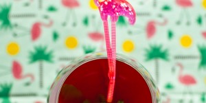 Beitragsbild des Blogbeitrags Superfruchtige Durstlöscher für den Sommer