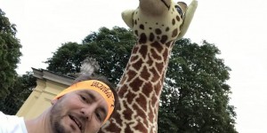 Beitragsbild des Blogbeitrags Der Wiener Zoolauf, eine Empfehlung für alle!