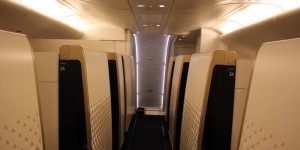 Beitragsbild des Blogbeitrags 265000 American Airlines Meilen: 4429 Euro
